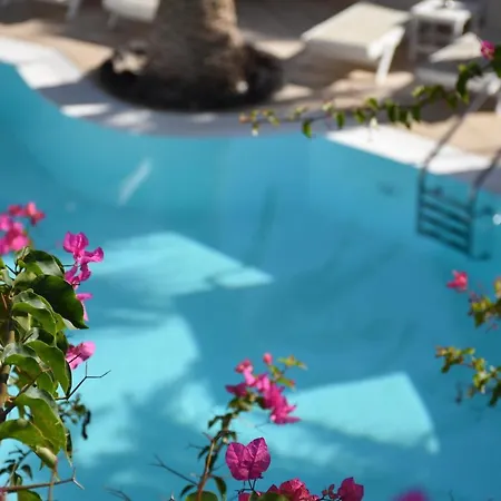 Hotel Arion Bay Santorini 3*